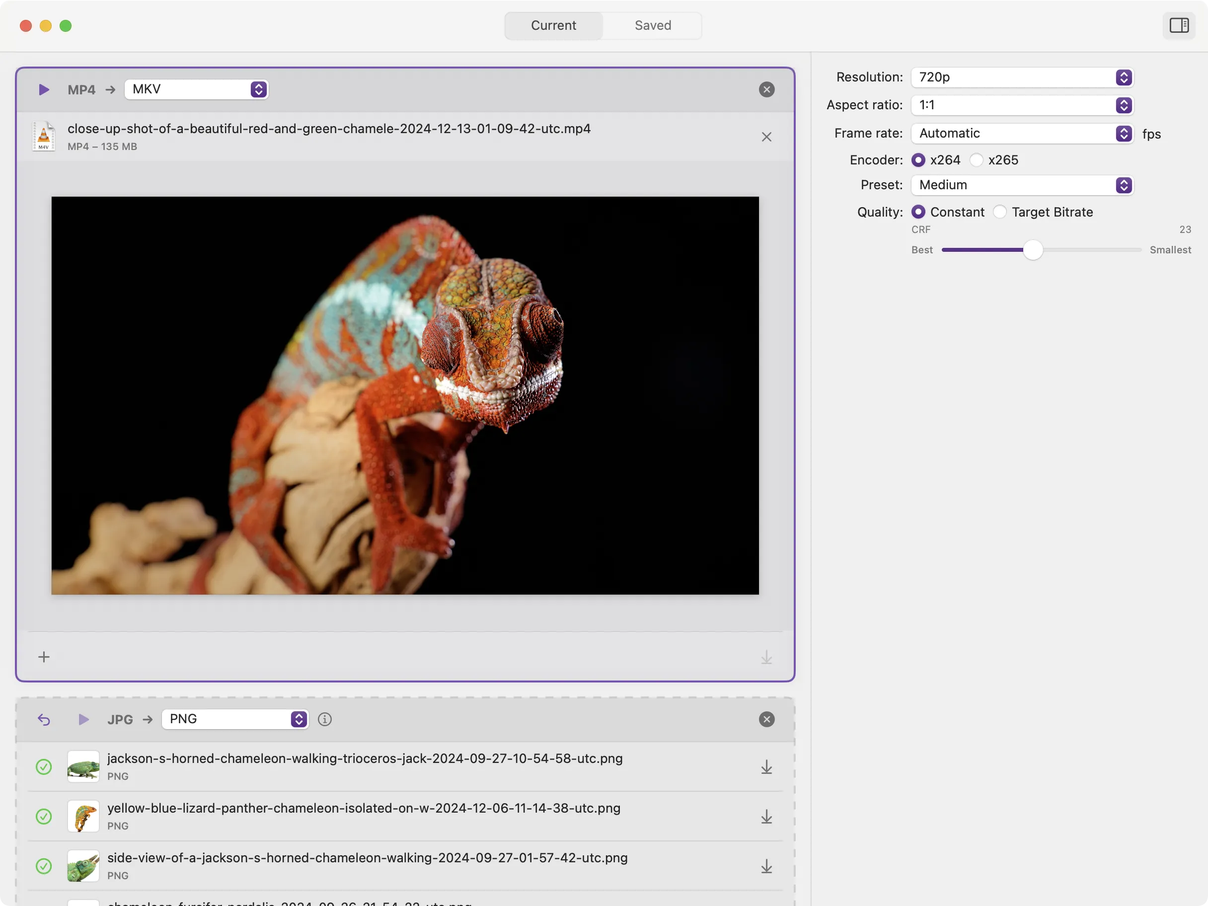 Chameleon app screenshot